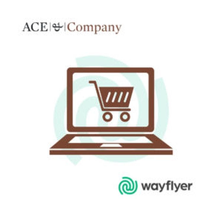 ''ACE It!'' Podcast's latest: Wayflyer's eCommerce Boost